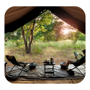 canvas tents